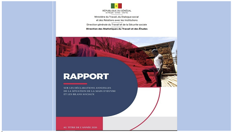 Le rapport 2020 sur la situation de la main d’œuvre et les bilans sociaux 